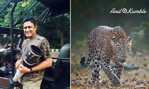 anil kumble wildlife photography