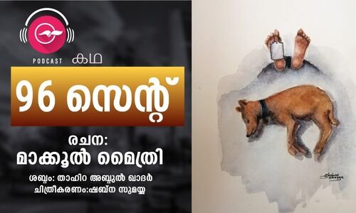 96 സെന്‍റ്​ - കഥ