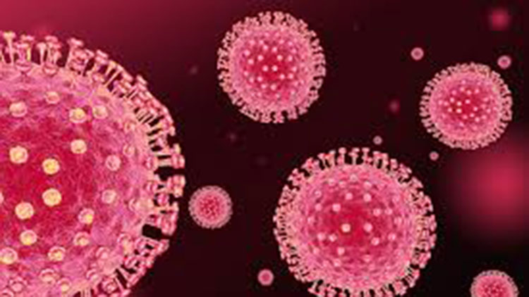 കോവിഡ് വ്യാപനം: കൂടുതൽ മുൻകരുതൽ നടപടികൾക്ക് സാധ്യത –ആരോഗ്യമന്ത്രി കോവിഡ് വ്യാപനം: കൂടുതൽ മുൻകരുതൽ നടപടികൾക്ക് സാധ്യത –ആരോഗ്യമന്ത്രി