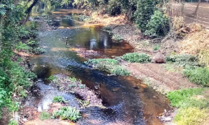 water dried water dried