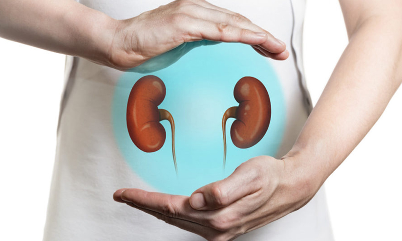 മൃതസഞ്ജീവനിക്കായി കാത്തിരിപ്പുണ്ട്, 2800 പേർ മൃതസഞ്ജീവനിക്കായി കാത്തിരിപ്പുണ്ട്, 2800 പേർ