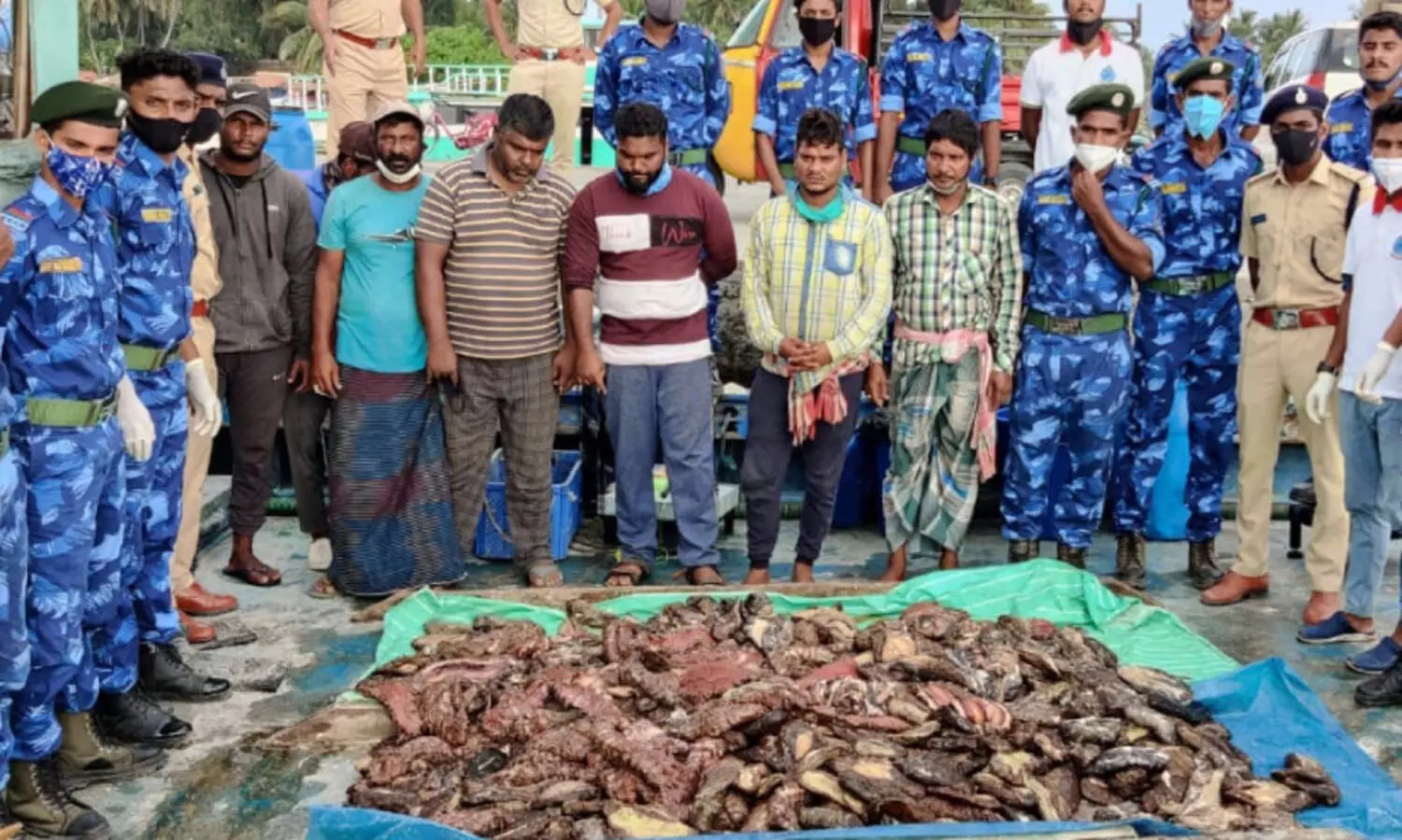 ലക്ഷദ്വീപിൽ കോടികളുടെകടൽ വെള്ളരി വേട്ട; മലയാളി  ഉൾ​െപ്പടെ ഏ​ഴുപേർ പിടിയിൽ