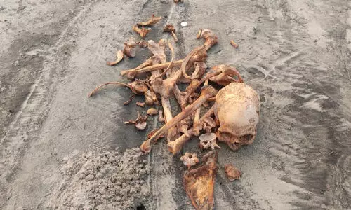 ആലപ്പാട് വെള്ളനാതുരുത്ത് കടല്‍കരയില്‍ ചാക്കുകെട്ടുകളില്‍ അസ്ഥികൂടങ്ങള്‍ കരക്കടിഞ്ഞത് പരിഭ്രാന്തി പരത്തി