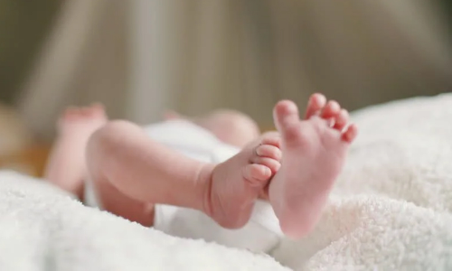 അട്ടപ്പാടിയിൽ വീണ്ടും നവജാത ശിശു മരണം