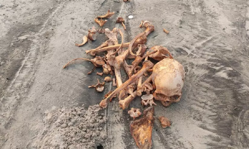 ആലപ്പാട് വെള്ളനാതുരുത്ത് കടല്‍കരയില്‍ ചാക്കുകെട്ടുകളില്‍ അസ്ഥികൂടങ്ങള്‍ കരക്കടിഞ്ഞത് പരിഭ്രാന്തി പരത്തി