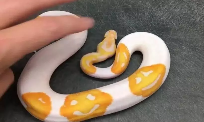Snake With Smiley Face Emojis