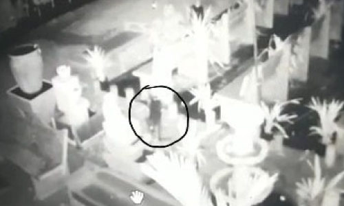 leopard in cctv leopard in cctv