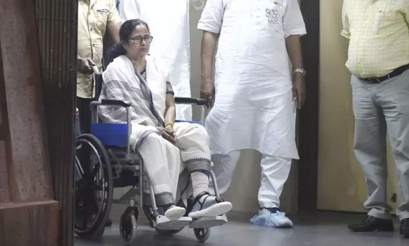 ചക്രക്കസേരയുമായി തിരിച്ചെത്തി മമത; മുറിവേറ്റ കടുവ കൂടുതൽ അപകടകാരിയെന്ന് ചക്രക്കസേരയുമായി തിരിച്ചെത്തി മമത; മുറിവേറ്റ കടുവ കൂടുതൽ അപകടകാരിയെന്ന്