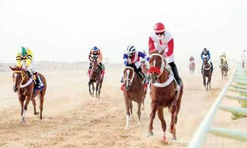 കുളമ്പടിയൊച്ചകൾ തീർത്ത് അൽഅഹ്‌സയിൽ കുതിരയോട്ട മത്സരം