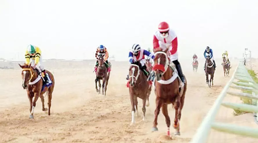 കുളമ്പടിയൊച്ചകൾ തീർത്ത് അൽഅഹ്‌സയിൽ കുതിരയോട്ട മത്സരം