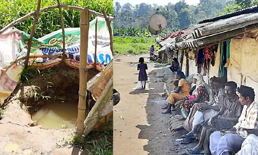 23 കുടുംബങ്ങൾക്ക്​ ഒരു ശുചിമുറി പോലുമില്ല, താമസം​ ഷെഡിൽ; വീ​ട് നി​ർ​മാ​ണം ഇ​ഴ​യു​ന്നത് ആദിവാസികളെ ദുരിതത്തിലാക്കുന്നു