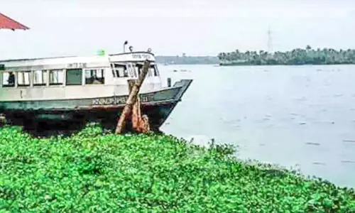 ആലപ്പുഴ വിടുന്നതിൽ പെരുമ്പളത്തിന്​ ഇരുമനസ്സ്