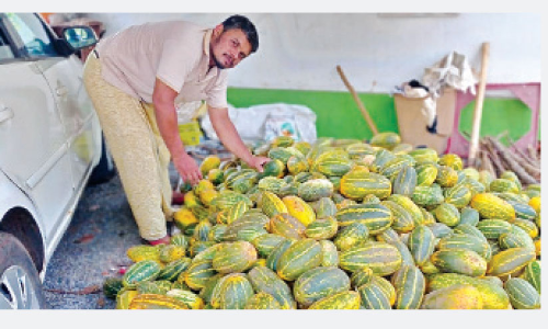 എൻജിനീയർ ജോലി വേണ്ട;പാടത്ത് മണ്ണി​െൻറ മണമുള്ള പണിമതി