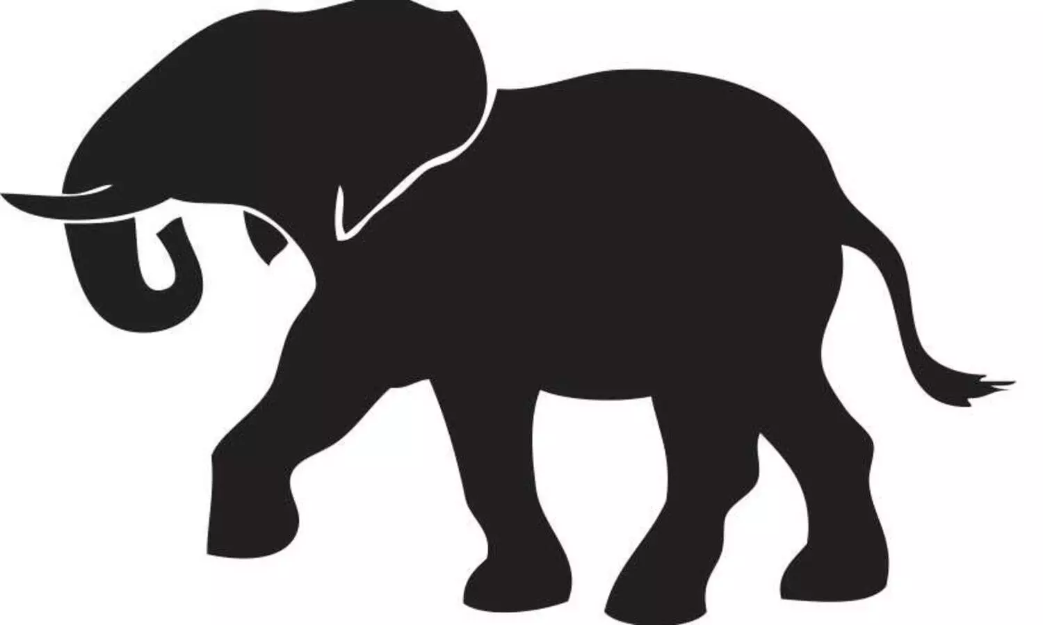 ആറളം ഫാമിലെ കാട്ടാനകളെ തുരത്തൽ താൽക്കാലികമായി നിർത്തി