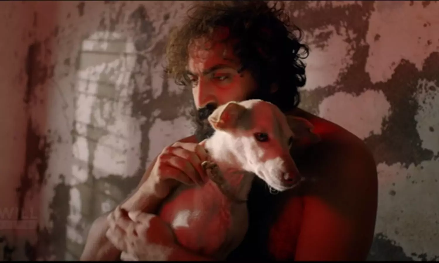 രാഹുൽ മാധവിന്‍റെ സണ്‍ ഓഫ് ഗ്യാംങ്സ്റ്റര്‍; ട്രെയിലർ പുറത്തുവിട്ടു