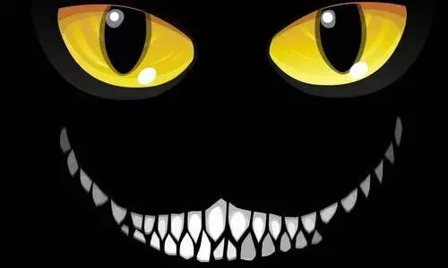 കല്ലമ്പലത്തിന് സമീപം അജ്ഞാതജീവിയെ കണ്ടതായി നാട്ടുകാർ