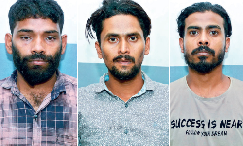 cannabis case accused