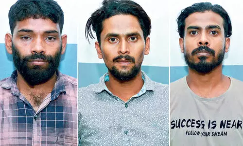 cannabis case accused