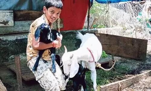 paathummayude aad paathummayude aad