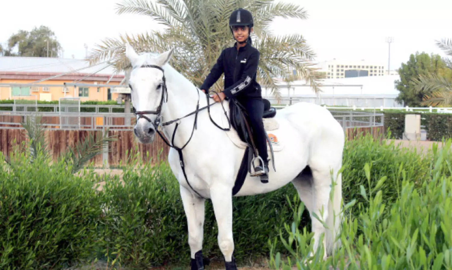 എൽസ ദി അഡ്വഞ്ചറസ്