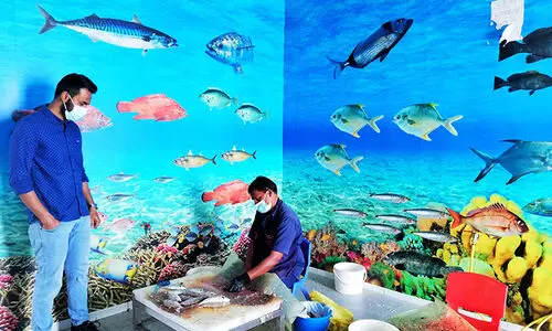 ഉമ്മുൽ ഖുവൈനിലെ തനി നാടൻ മാർക്കറ്റ്