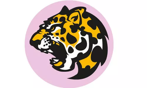 അടുത്തെത്തിയ പുലി കൂട്ടിലായില്ല: ജാഗ്രത​േയാടെ നാട്ടുകാരും വനംവകുപ്പും