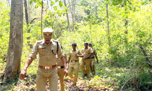 വനമേഖലയിൽ സം​യു​ക്ത പ​രി​ശോ​ധ​ന