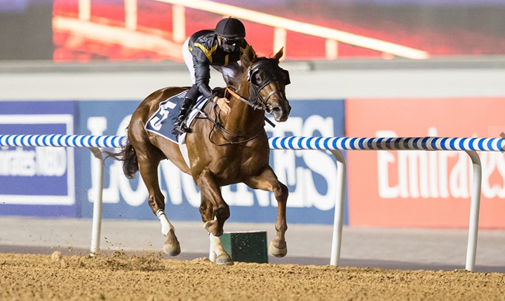 ദുബൈ വേൾഡ് കപ്പ് 27ന്: കാണികൾക്ക് പ്രവേശനമില്ല ദുബൈ വേൾഡ് കപ്പ് 27ന്: കാണികൾക്ക് പ്രവേശനമില്ല