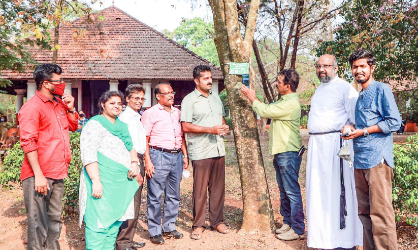 സി.എം.എസ്. കോളജിലെ വൃക്ഷവൈവിധ്യം ഇനി ക്യൂ.ആര് കോഡില് സി.എം.എസ്. കോളജിലെ വൃക്ഷവൈവിധ്യം ഇനി ക്യൂ.ആര് കോഡില്