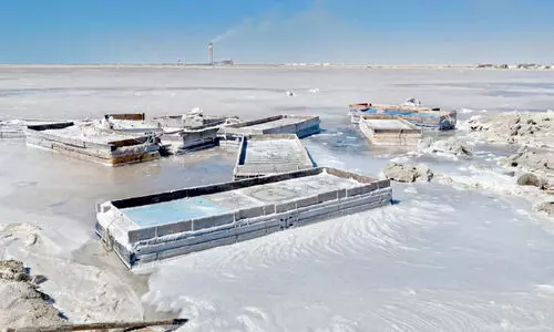 അ​ന​ധി​കൃ​ത ഉ​പ്പ്​ നി​ർ​മാ​ണ കേ​ന്ദ്രം അ​ട​ച്ചു