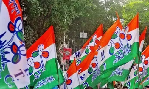 TMC flag