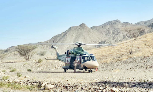 മ​ല​മു​ക​ളി​ൽ​നി​ന്ന്​ വീ​ണ്​ പ​രി​ക്കേ​റ്റ സ്​​ത്രീ മ​രി​ച്ചു