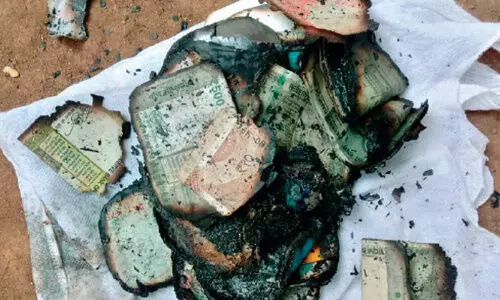 burned currency notes