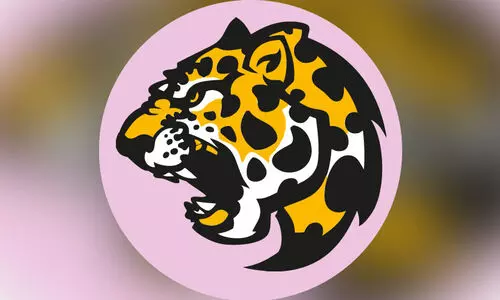 പു​ലി​ഭീ​തി ഒ​ഴി​യു​ന്നി​ല്ല; മ​ട​ന്ത​പ്പ​ച്ച​യി​ലും ക​ഴി​ഞ്ഞ​ദി​വ​സം പു​ലി​യെ ക​ണ്ട​താ​യി അ​ഭ്യൂ​ഹം