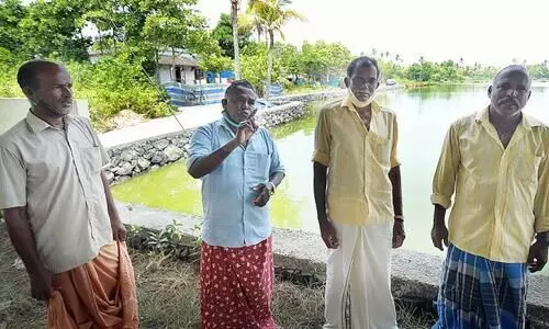 തെരഞ്ഞെടുപ്പ്​ തിരയിൽ വൈപ്പിൻ