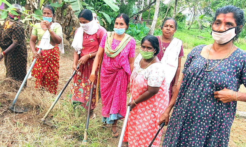 അമ്പലപ്പുഴയുടെ നേരറിയാൻ സ്ഥാനാർഥികളുടെ തേരോട്ടം അമ്പലപ്പുഴയുടെ നേരറിയാൻ സ്ഥാനാർഥികളുടെ തേരോട്ടം