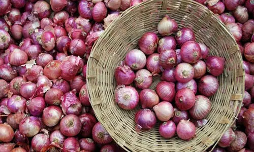 സവാള ബിസിനസിലേക്ക് നിക്ഷേപം സ്വീകരിച്ച ശേഷം പണം നൽകാതെ വഞ്ചിച്ചെന്ന് പരാതി