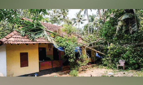മരം വീണ് വീട്​ തകർന്നു