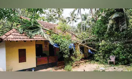 മരം വീണ് വീട് തകർന്നു മരം വീണ് വീട് തകർന്നു