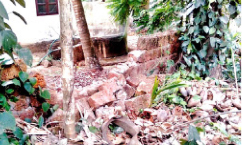 കൂട്ടുപുഴ, പേരട്ട ജനവാസകേന്ദ്രത്തിൽ കാട്ടാനയിറങ്ങി   വീട്ടുമതിലും കൃഷിയും നശിപ്പിച്ചു