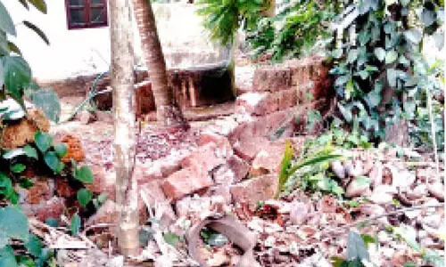 കൂട്ടുപുഴ, പേരട്ട ജനവാസകേന്ദ്രത്തിൽ കാട്ടാനയിറങ്ങി   വീട്ടുമതിലും കൃഷിയും നശിപ്പിച്ചു