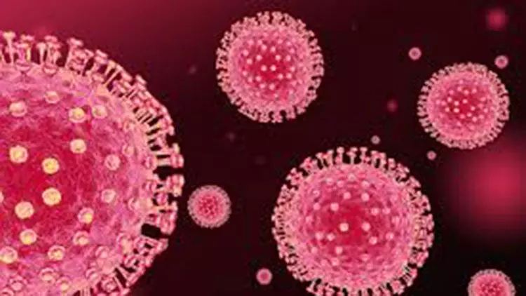 സൗദിയിൽ കോവിഡ് രോഗികളിൽ രോഗമുക്തരുടെ എണ്ണം കുറയുന്നു സൗദിയിൽ കോവിഡ് രോഗികളിൽ രോഗമുക്തരുടെ എണ്ണം കുറയുന്നു