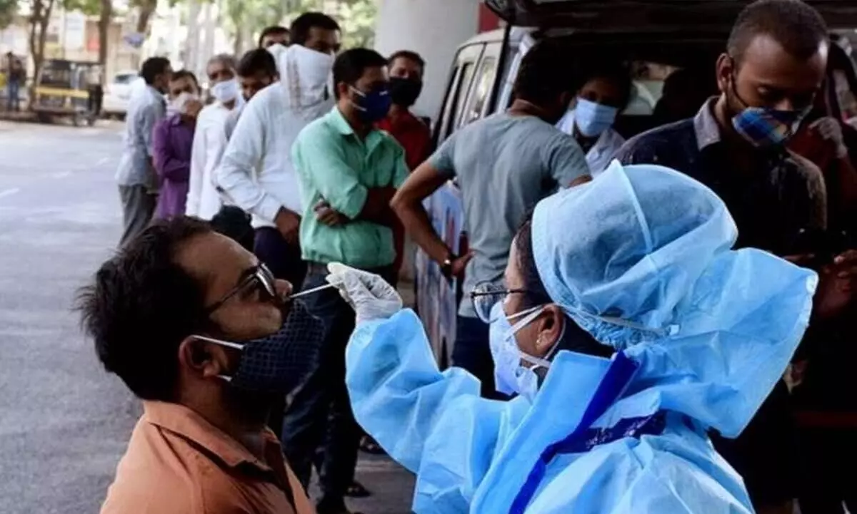 Swab Collection Swab Collection