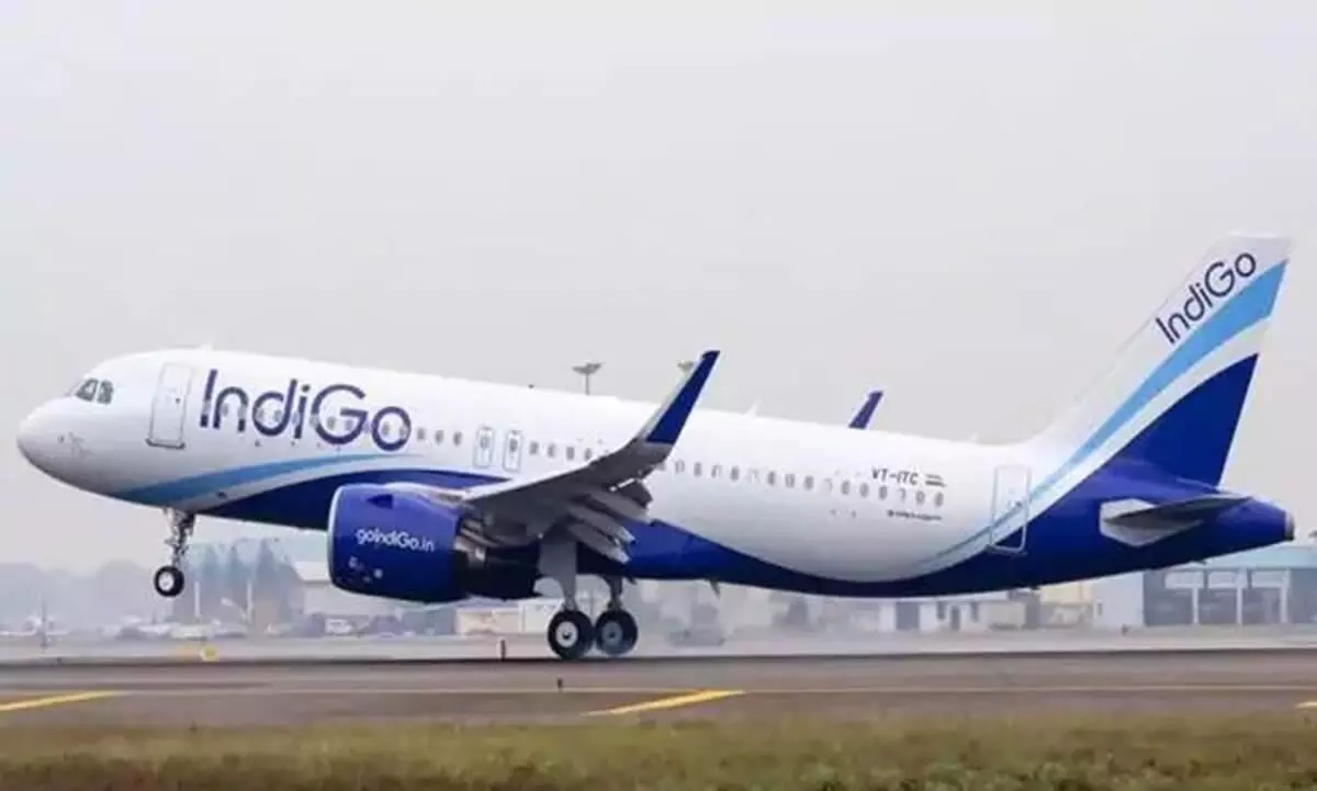 IndiGo Flight IndiGo Flight
