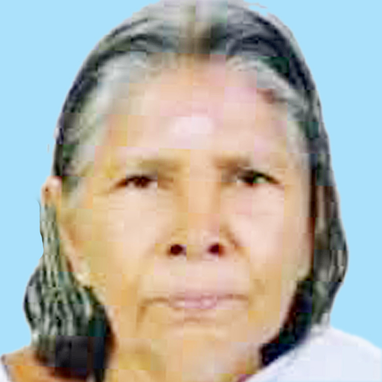 ബൈക്കിടിച്ച്​ വയോധിക മരിച്ചു