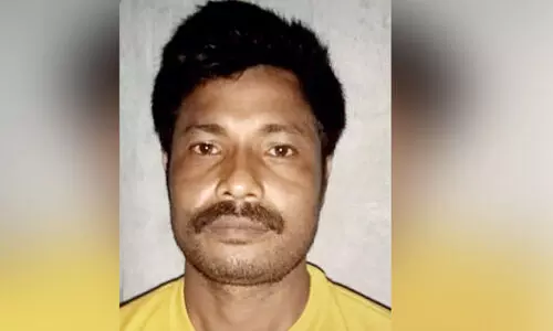 cannabis case accused