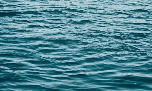 ശു​ചീ​ക​രി​ച്ച വെ​ള്ളം കൂ​ടു​ത​ല്‍ ക​ര്‍ഷ​ക​ര്‍ക്ക് വേ​ണ​മെ​ന്ന്   ആ​വ​ശ്യം