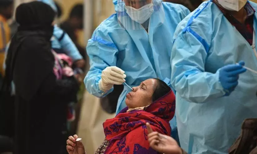 Swab Collection Swab Collection