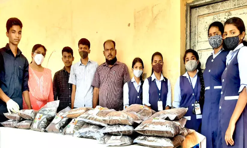 manure drom dung manure drom dung