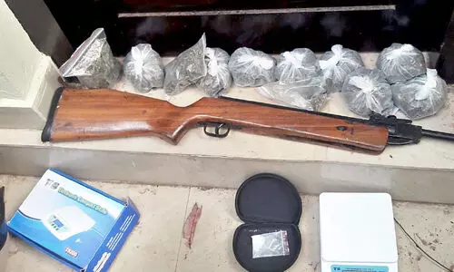 gun and drugs seized